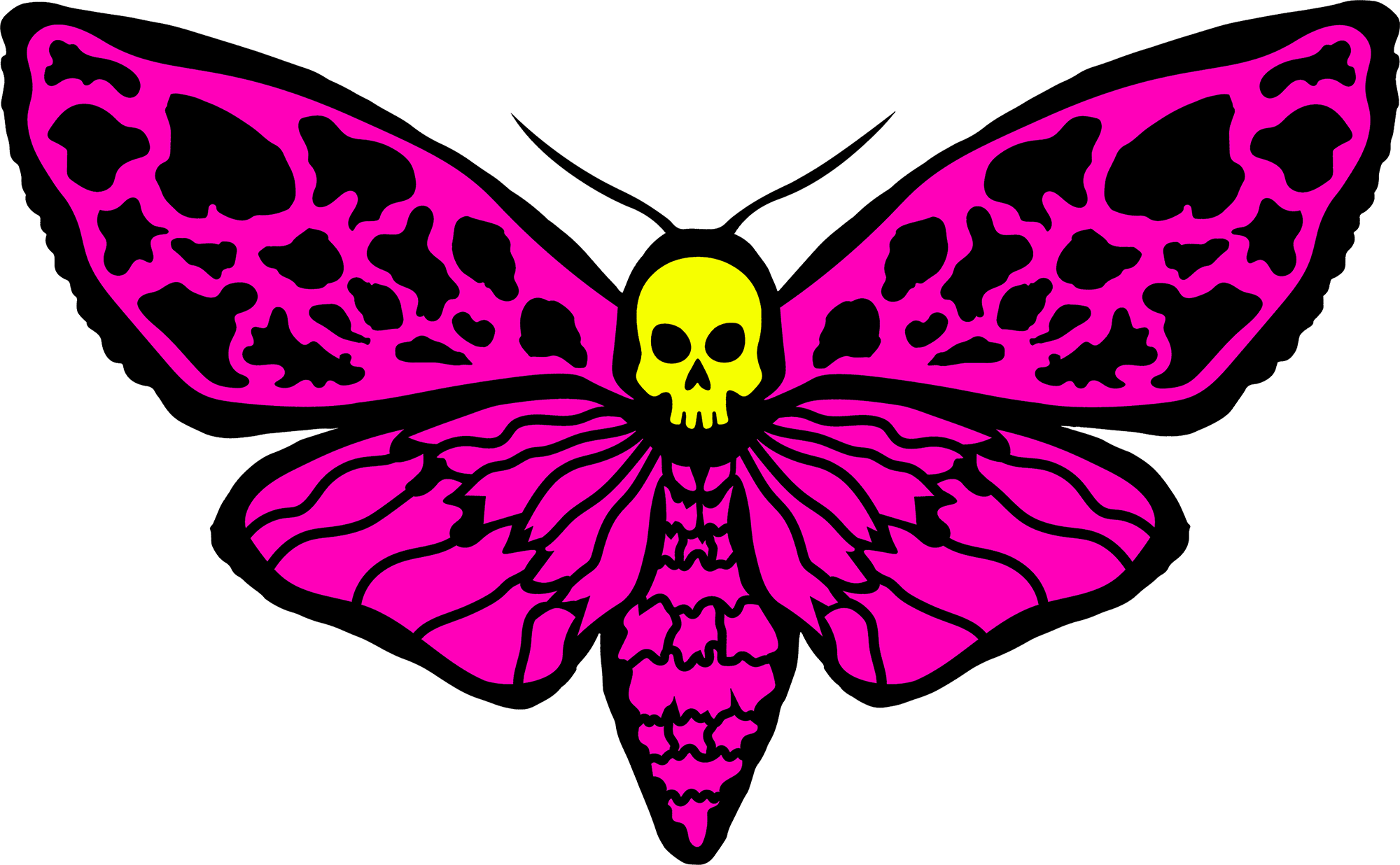 Moth